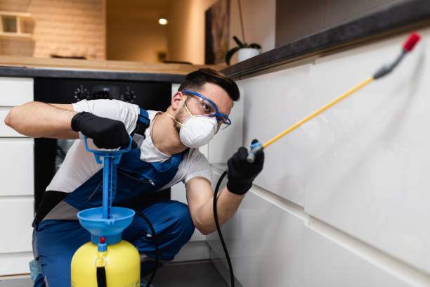 Best Affordable Pest Control Services  in Walnut Grove, GA