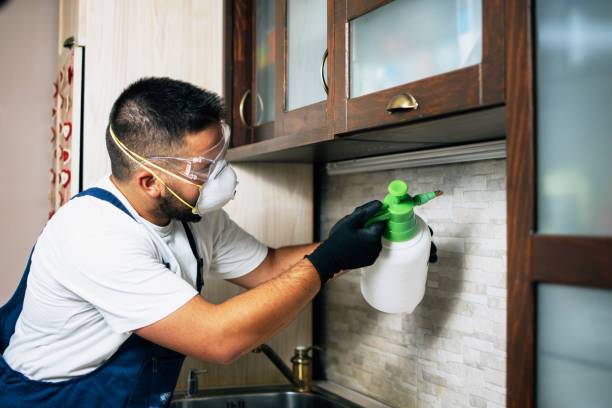 Best Mosquito Control Services  in Walnut Grove, GA