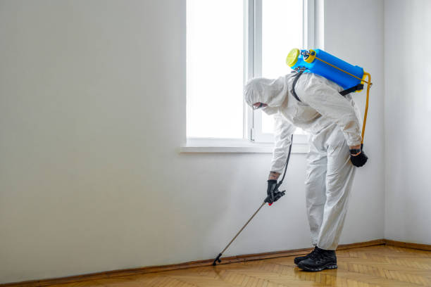Best Pest Control for Restaurants  in Walnut Grove, GA
