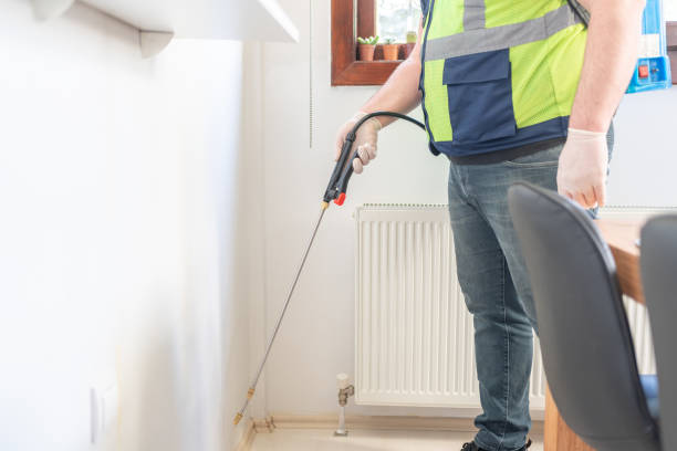 Best Flea Control Services  in Walnut Grove, GA