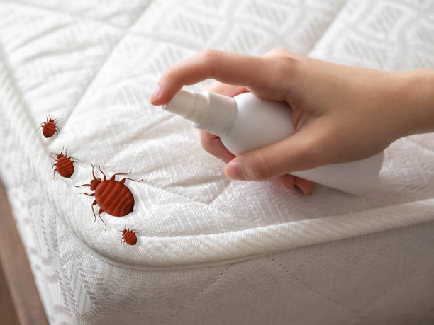 Trusted Walnut Grove, GA Pest Control Experts