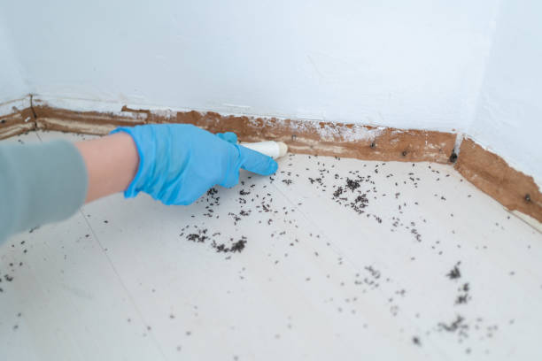 Best Pest Removal Services  in Walnut Grove, GA