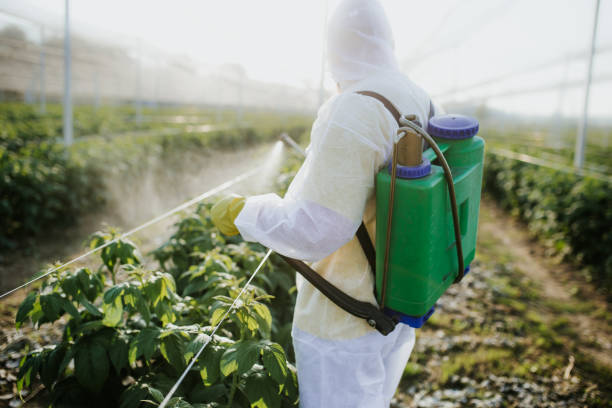 Best Wildlife Control Services  in Walnut Grove, GA